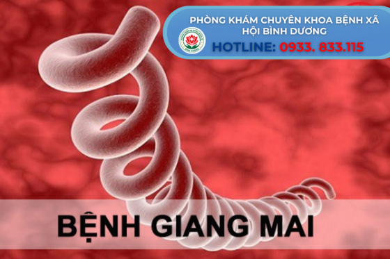 bxh (1).png