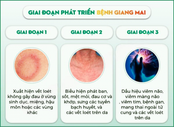 pk-binh-duong (15).png